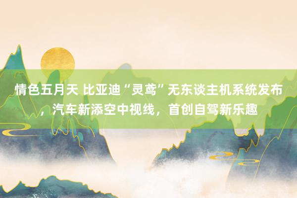 情色五月天 比亚迪“灵鸢”无东谈主机系统发布，汽车新添空中视线，首创自驾新乐趣