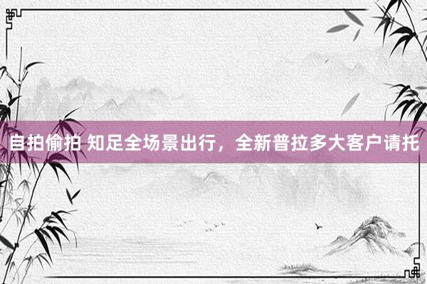 自拍偷拍 知足全场景出行，全新普拉多大客户请托