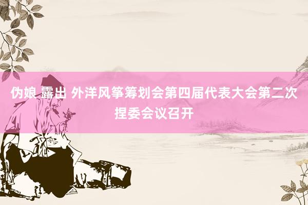 伪娘 露出 外洋风筝筹划会第四届代表大会第二次捏委会议召开