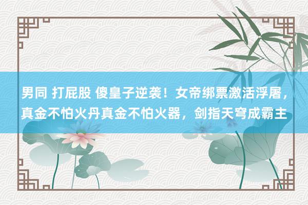 男同 打屁股 傻皇子逆袭！女帝绑票激活浮屠，真金不怕火丹真金不怕火器，剑指天穹成霸主