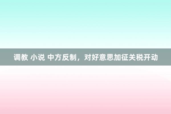 调教 小说 中方反制，对好意思加征关税开动