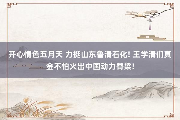 开心情色五月天 力挺山东鲁清石化! 王学清们真金不怕火出中国动力脊梁!